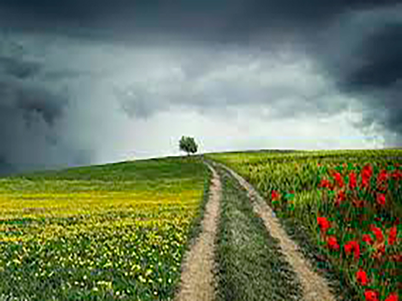 Abre Caminos
